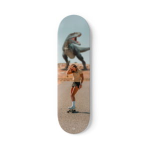 PLANCHE DE SKATEBOARD DECORATIVE HURRY PAR THE SKATE BIRD