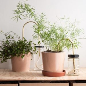 PLANT STRAW BRASS - PLANTSTRAWS