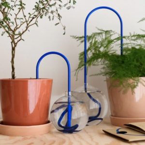 PLANT STRAW BLEU - PLANTSTRAWS