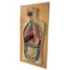 PLANCHE ANATOMIQUE VINTAGE