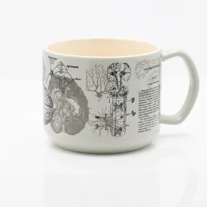 MUG BRAIN ANATOMY CERAMIQUE 450ml - COGNITIVE SURPLUS