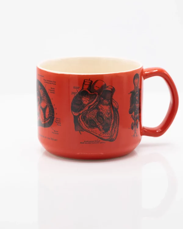MUG ANATOMICAL HEART CERAMIQUE 450ml - COGNITIVE SURPLUS