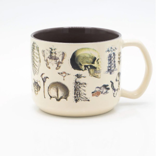 MUG ANATOMICAL SKELETON 450ml - COGNITIVE SURPLUS