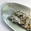 COUPELLE EMPREINTE EN PORCELAINE - TOTEM NATURE