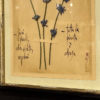 PLANCHE D'HERBIER "TAVOLA 506 LAVANDULA ANGUSTIFOLIA" - OFFICINA NATURALIS
