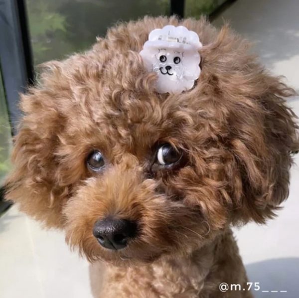 MINI PINCE À CHEVEUX BICHON - COUCOU SUZETTE