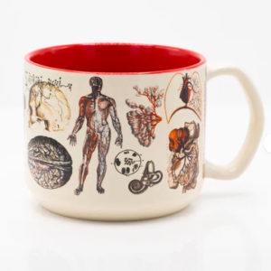 MUG ANATOMY : VASCULAIRE 450ml - COGNITIVE SURPLUS