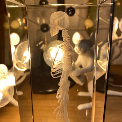 RADIOGRAPHIE SQUELETTE 3D CRISTAL 22