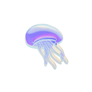 BROCHE MEDUSE "JELLYFISH" - MONOLAMA