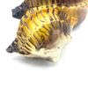 SET DE 2 VIDE-POCHES VULVE COQUILLAGE NATURALISTE VINTAGE - V0147