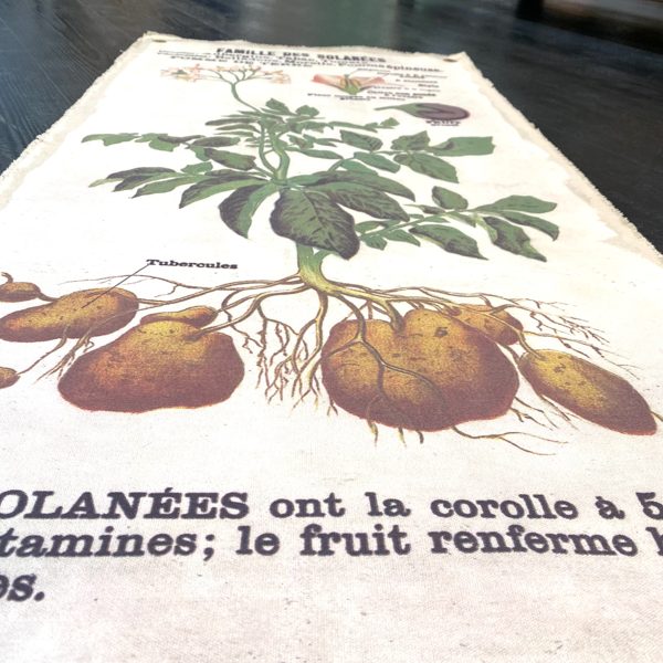 TABLEAU MURAL EN COTON "FAMILLE DES SOLANÉES" - CHEHOMA