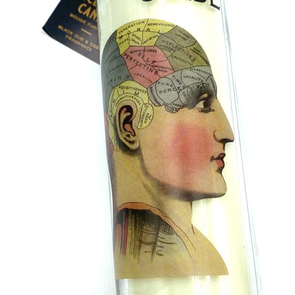 BOUGIE TUBE VOTIVE PHRENOLOGIE / CHIROMANCIE AVEC POIGNÉE - TEMERITY JONES