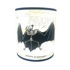DEMI ABAT-JOUR "SQUELETTE DE CHAUVE-SOURIS - VERVEINE MENTHE