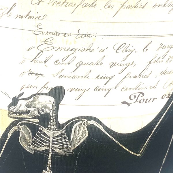 DEMI ABAT-JOUR "SQUELETTE DE CHAUVE-SOURIS - VERVEINE MENTHE