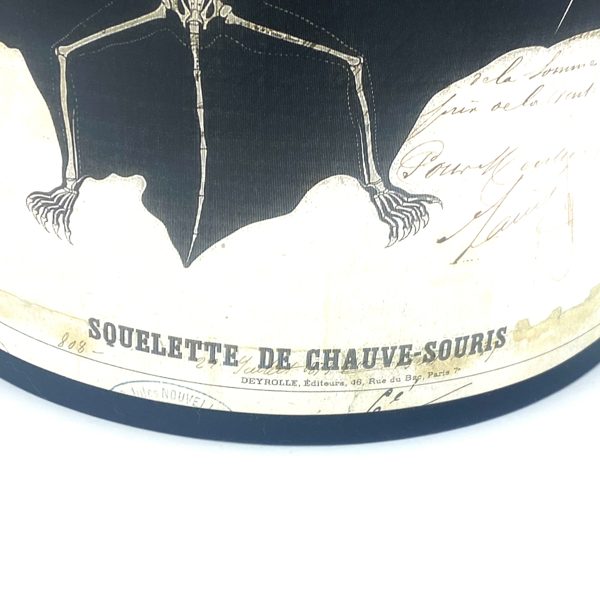 DEMI ABAT-JOUR  "SQUELETTE DE CHAUVE-SOURIS" - VERVEINE MENTHE