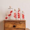 "ERABLE ROUGE" PLANTE IMMERGÉE 21 CM - L'HERBARIUM DE THÉOPHILE