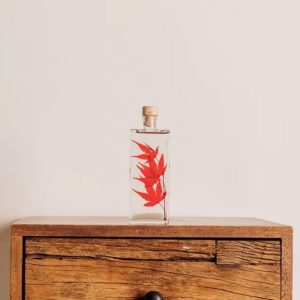 "ERABLE ROUGE" PLANTE IMMERGÉE 17 CM - L'HERBARIUM DE THÉOPHILE
