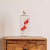 "ERABLE ROUGE" PLANTE IMMERGÉE 26 CM - L'HERBARIUM DE THÉOPHILE