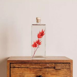 "ERABLE ROUGE" PLANTE IMMERGÉE 26 CM - L'HERBARIUM DE THÉOPHILE