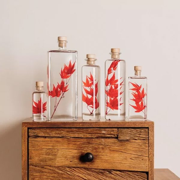 "ERABLE ROUGE" PLANTE IMMERGÉE 21 CM - L'HERBARIUM DE THÉOPHILE