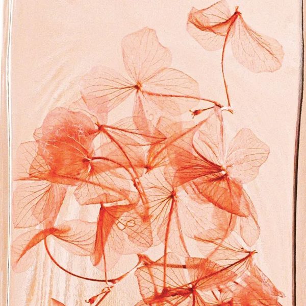 "HORTENSIA ROSE" PLANTE IMMERGÉE 12 CM - L'HERBARIUM DE THÉOPHILE