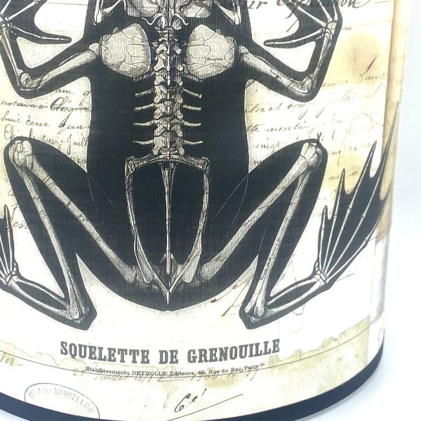 DEMI ABAT-JOUR  "GRENOUILLE" - VERVEINE MENTHE