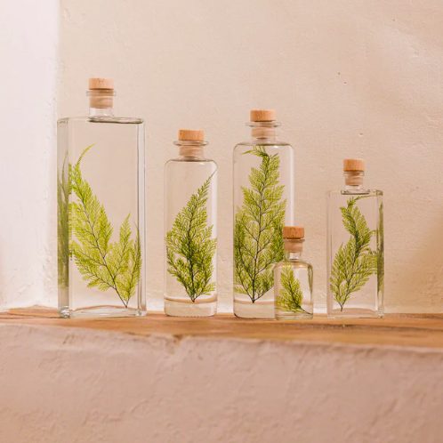 "TABALIA VERTE" FOUGÈRE IMMERGÉE 21 CM - L'HERBARIUM DE THÉOPHILE