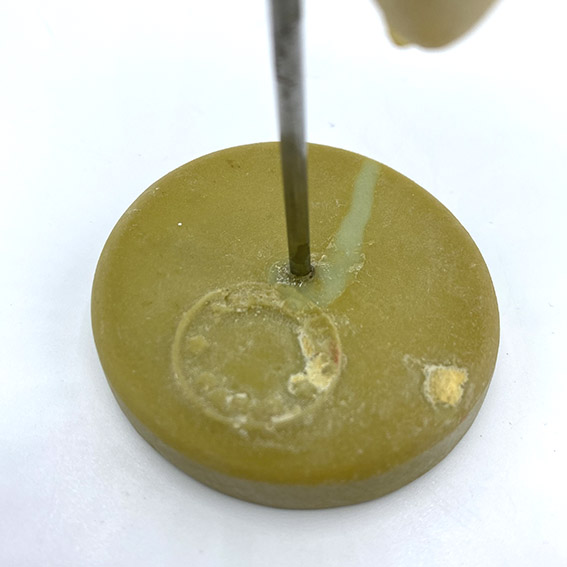 MODÈLE ANATOMIQUE D'UNE DENT - DOCTEUR AUZOUX - V0226