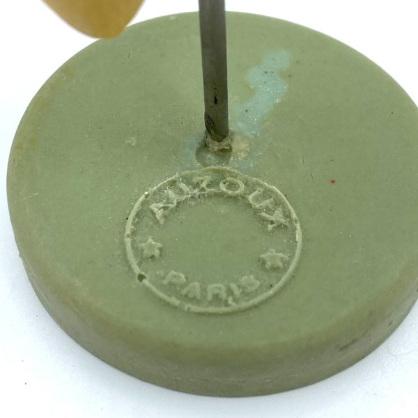 MODÈLE ANATOMIQUE D'UNE DENT - DOCTEUR AUZOUX - V0223