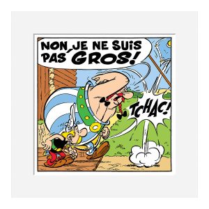 DIGIGRAPHIE JE NE SUIS PAS GROS 40X50 PAR UDERZO - ATELIER CONTEMPORAIN
